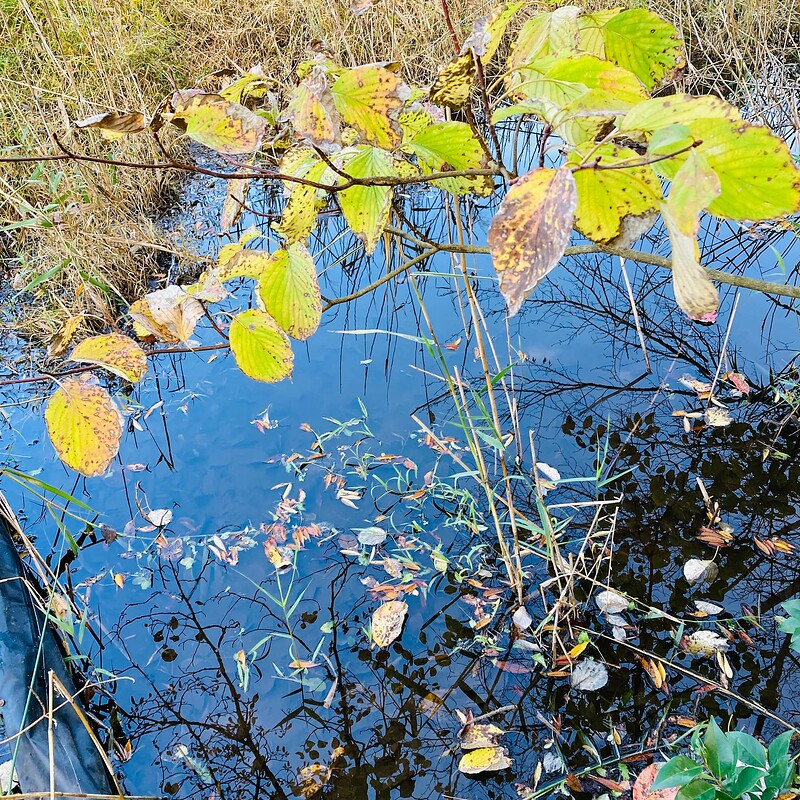 doho-park-autumn-2025-14