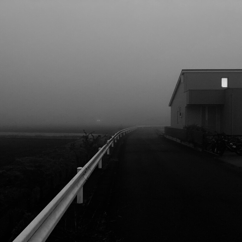 foggy_november_morning_6046