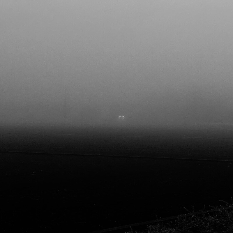 foggy_november_morning_6054