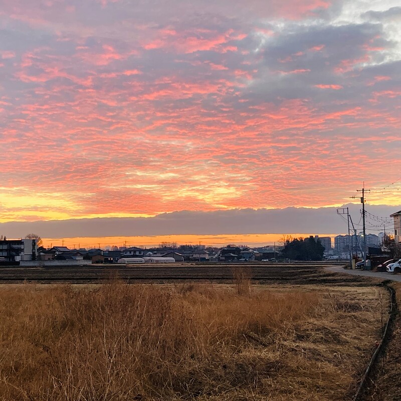 IMG_6261