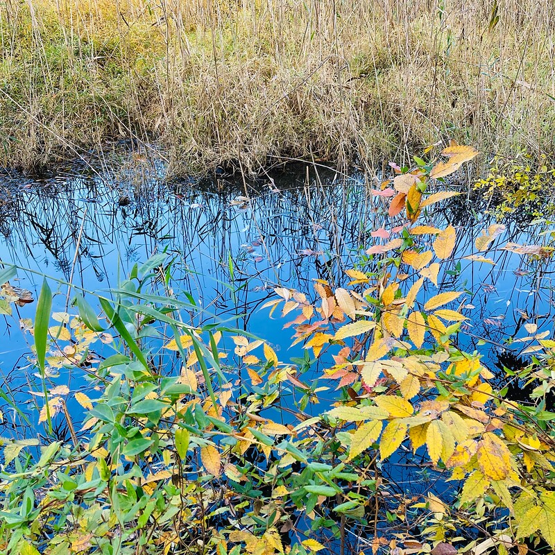 doho-park-autumn-2025-13