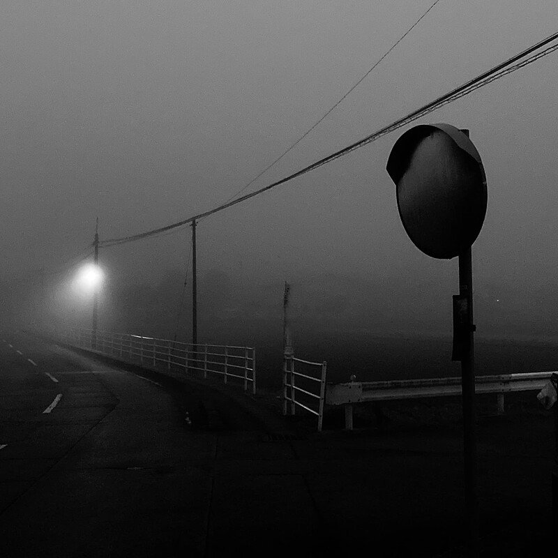 foggy_november_morning_6043