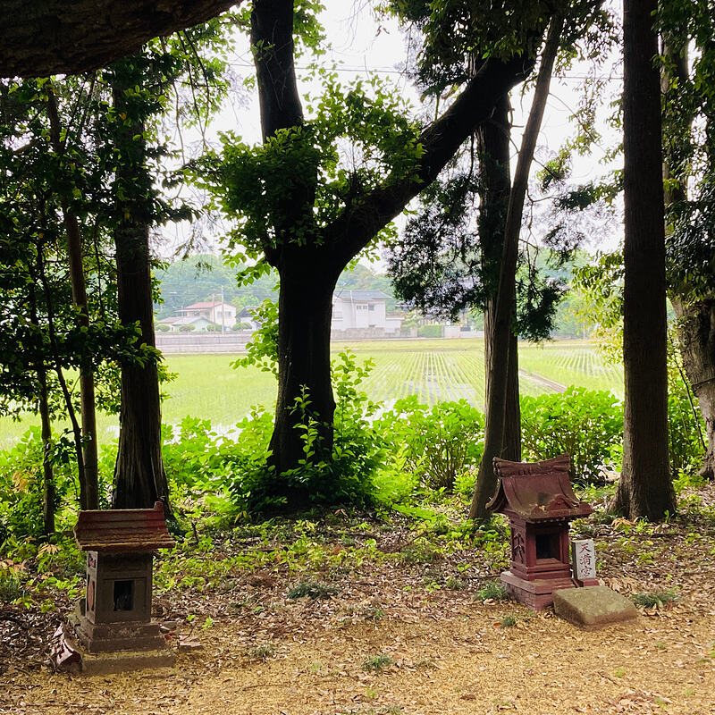 palayan mula sa jinja