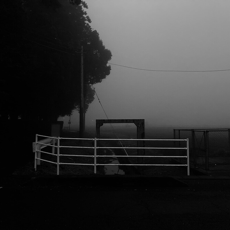 foggy_november_morning_6044